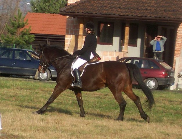Zawody w Raciechowicach SJK Hucuł 2006